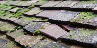 Malvern roof repair costs